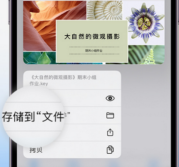 得荣apple维修中心分享iPhone文件应用中存储和找到下载文件