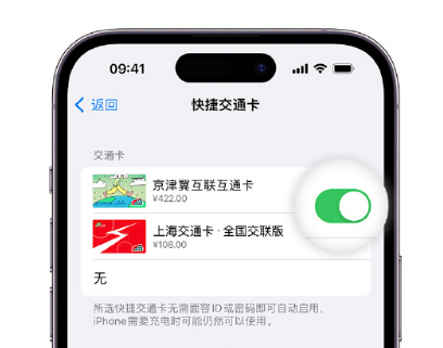 得荣apple维修点分享iPhone上更换Apple Pay快捷交通卡手绘卡面 