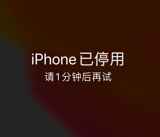 得荣苹果手机维修分享:iPhone 显示“不可用”或“已停用”怎么办？还能保留数据吗？ 