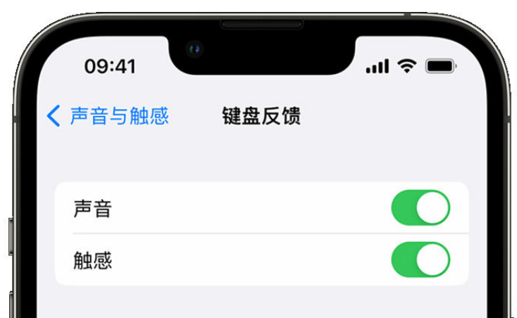 得荣苹果手机维修分享iPhone 14触感键盘使用方法 