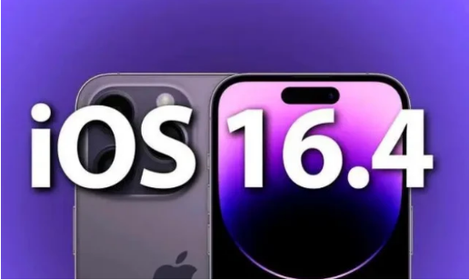 得荣苹果14维修分享：iPhone14可以升级iOS16.4beta2吗？ 