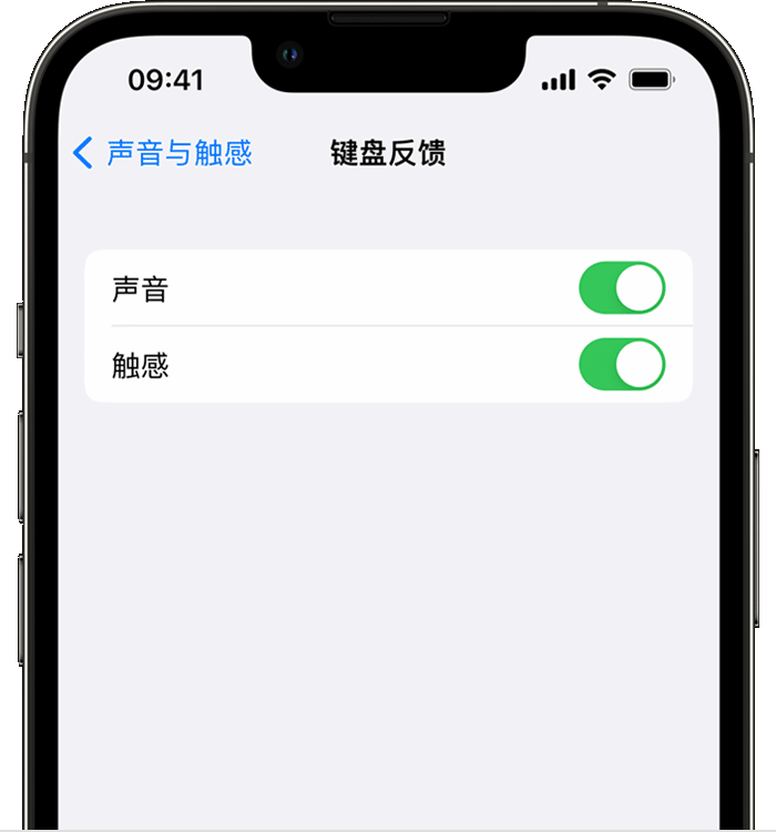 得荣苹果14维修店分享如何在 iPhone 14 机型中使用触感键盘 