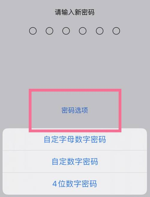 得荣苹果14维修分享iPhone 14plus设置密码的方法 