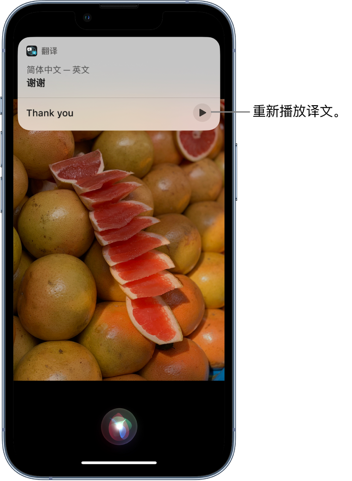 得荣苹果14维修分享 iPhone 14 机型中使用 Siri：了解 Siri 能帮你做什么 