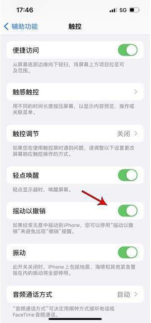 得荣苹果手机维修分享iPhone手机如何设置摇一摇删除文字 