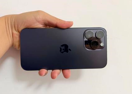 得荣苹果维修点分享iPhone 14 Pro Max黑屏少见故障盘点 